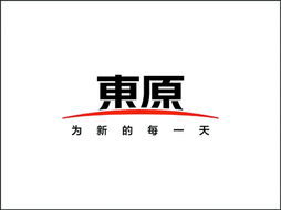 重庆东原房地产开发有限公司